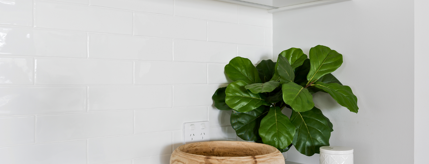 White Wall Tiles