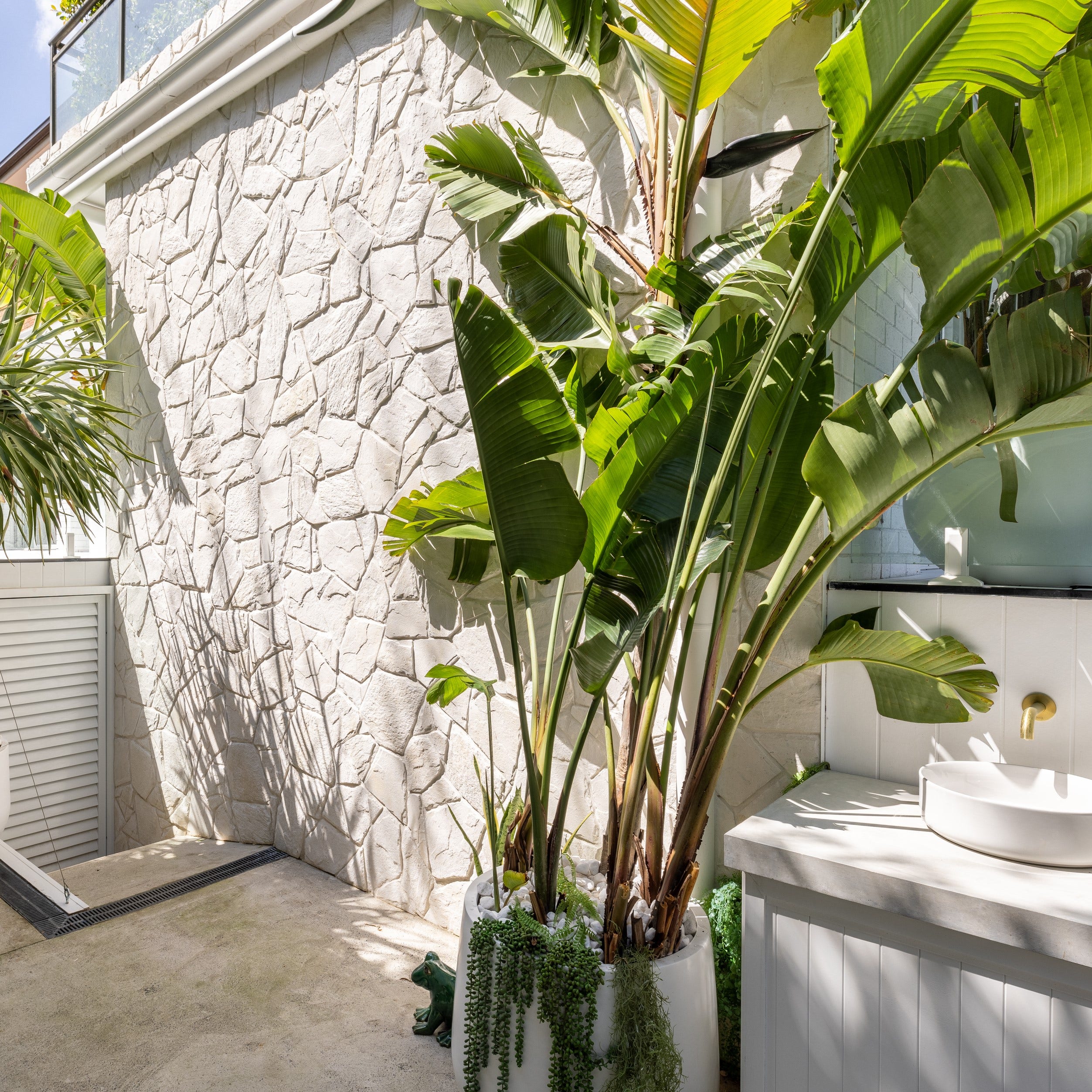 Bringing the “Harries” Project to Life: A Backyard Transformation