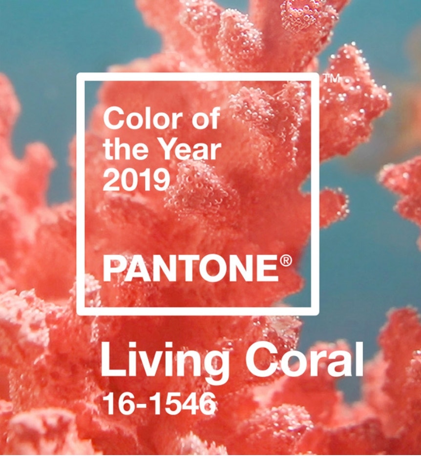 Pantone Colour of the year 2019